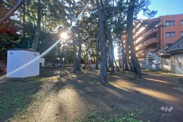 敷地南側にある『氷川公園』