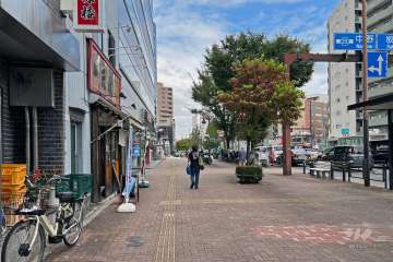 敷地の南東側前面道路は山手通りです（南西側から）。