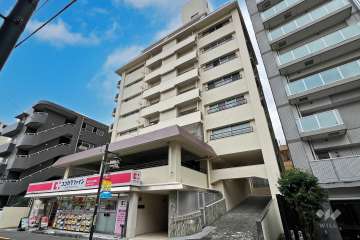 ハイネス東中野の外観（西側から）