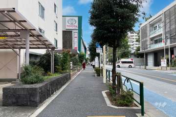 敷地の北側前面道路（東側から）