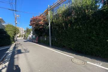 敷地の北側前面道路（西側から）