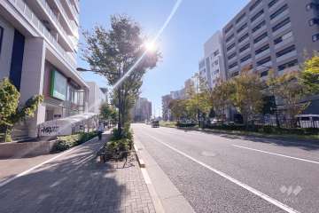 敷地西側の前面道路（北側から）