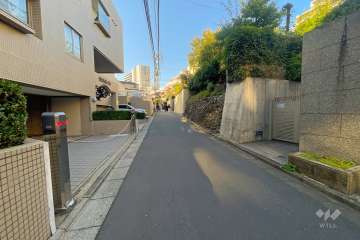 敷地の南側前面道路（東側から）