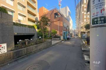 敷地の南側前面道路（西側から）