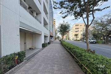 敷地北側の前面道路　