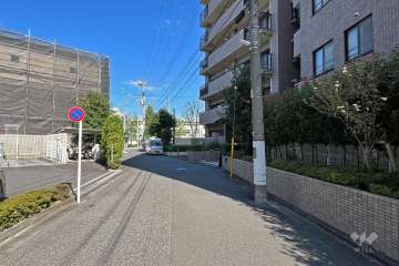 敷地西側の前面道路（南側から）