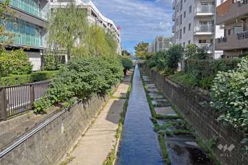 敷地の西側の神田川（南側から）