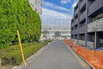 敷地の東側前面道路（南側から）
