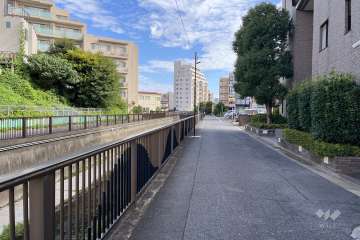 敷地北西側の前面道路（南西側から）