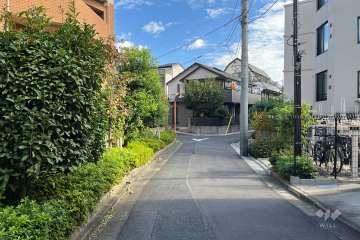 敷地の南側前面道路（西側から）