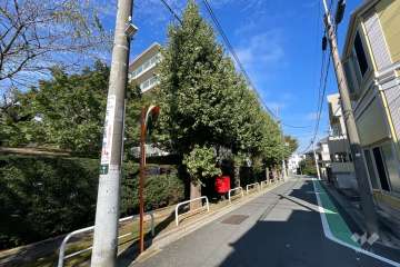 敷地の東側前面道路（南側から）