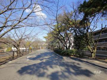 敷地西側には夙川が流れており、川沿いには遊歩道が整備されています。