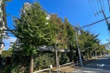 白鷺ハイム１号棟の外観（南西側から）