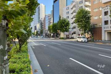 敷地の北側前面道路（西側から）