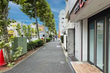 敷地北側の前面道路（西側から）