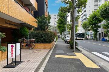 敷地西側の前面道路（北側から）