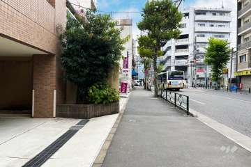 敷地の西側前面道路（北側から）