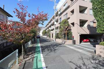 敷地西側の前面道路