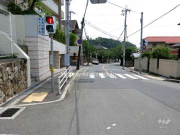 敷地西側の前面道路。周辺は緑豊かな住宅地です。