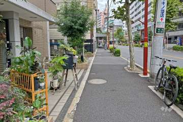 敷地の南東側前面道路は鍋屋横丁通りです（南西側から）。