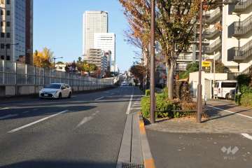 敷地西側の前面道路(南側から)