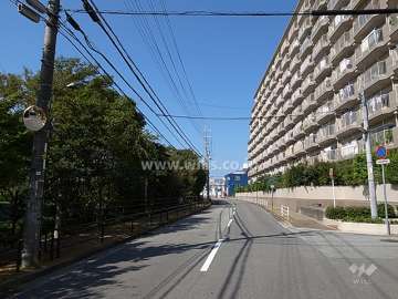 敷地南西側の前面道路。二車線のバス通りです。