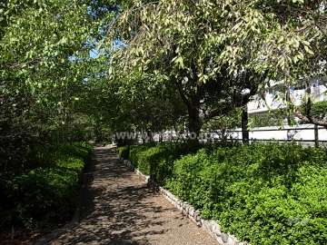 バス通りを挟んで、緑道、宝塚スポーツセンターがあります。