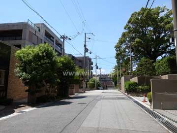 敷地北側の前面道路。
