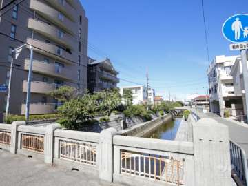 敷地の東側には川が流れています。
