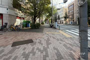 敷地の南側前面道路（西側から）