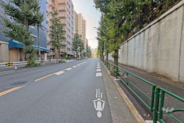 敷地の西側前面道路（北側から）