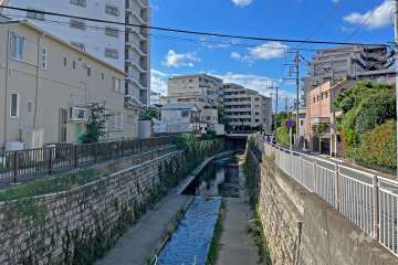 敷地北側は善福寺川に面しています。