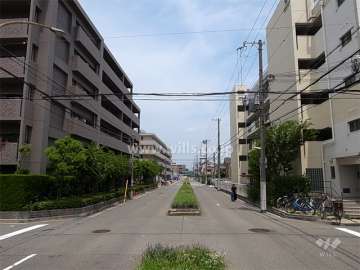 敷地東側の前面道路