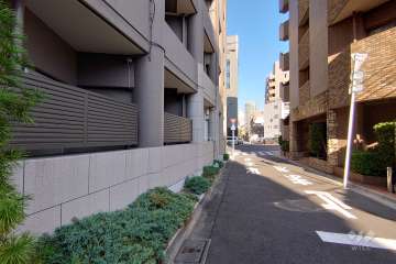 敷地南側の前面道路（西側から）