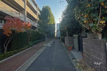 敷地北西側の前面道路（北側から）