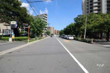 敷地北側の前面道路(西側から)