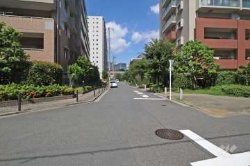 敷地西側の前面道路(南側から)