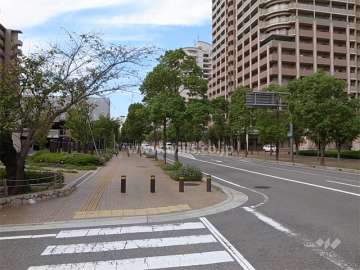 敷地南側の通り。歩道が広く、街路樹がきれいです。