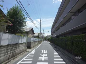 敷地東側の前面道路（北側から）