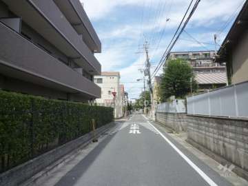敷地東側の前面道路（南側から）
