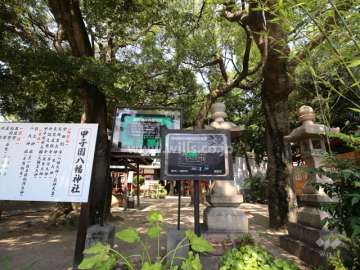 『甲子園八幡神社』の境内は保護樹林に指定されています。