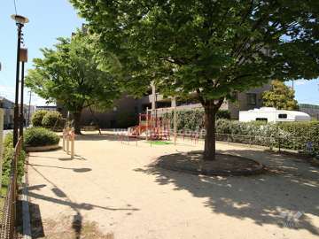 敷地に隣接するこまつケヤキ公園。