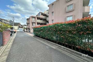 敷地の北側前面道路（西側から）
