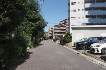 敷地北側の前面道路