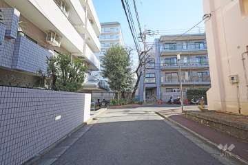 敷地南側の前面道路