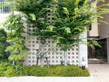 エントランス横の植栽スペース