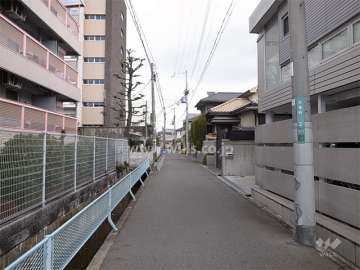 敷地の東側前面道路。周辺はマンションと一戸建てが混在する静かな住宅地です。