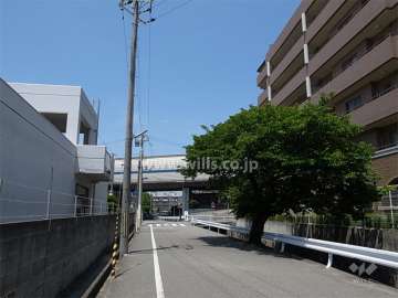 敷地西側の前面道路