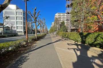 敷地西側の前面道路（南側から）