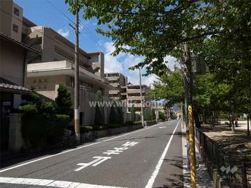 敷地北東側の前面道路。周辺は区画の整った住宅地です。